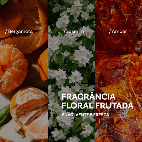 SH_curly-fragrancia.png