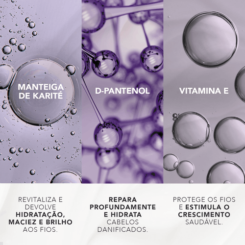 vizcaya_kit_carrossel_ativos-5